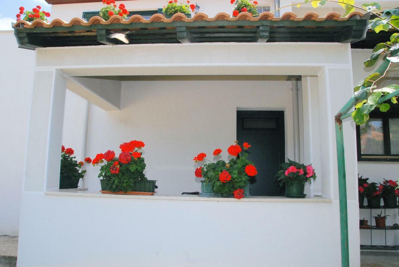 Apartmani Bauk โปเรช ภายนอก รูปภาพ